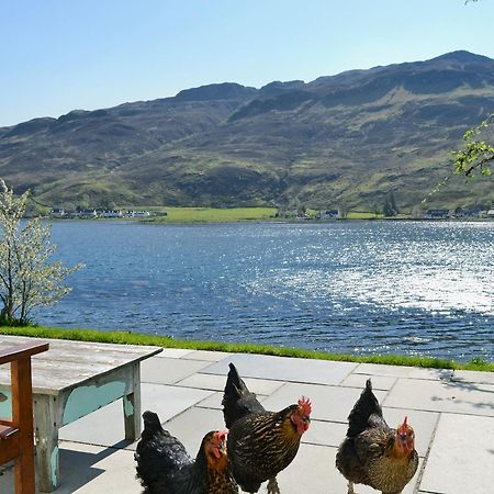 Loch Shore Cottage 唐尼 外观 照片